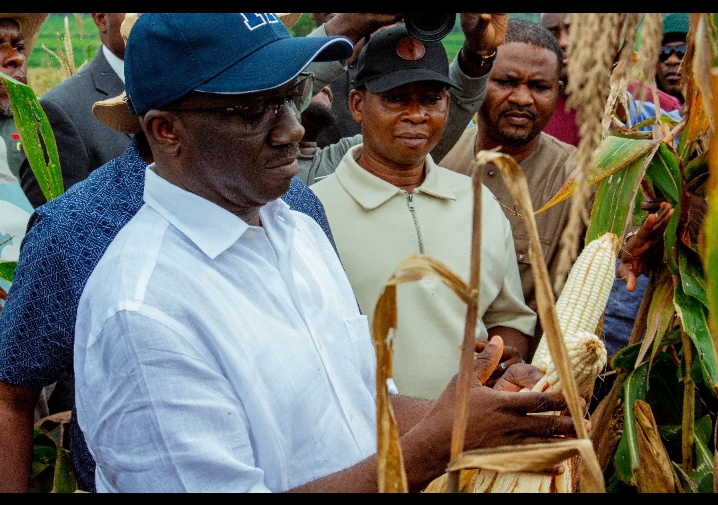 How Gov. Okpebholo Is Setting Edo on the Path of Responsible Agribusiness Growth