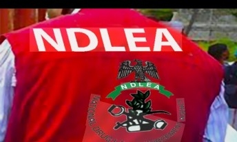 NDLEA Arrests Three Mexicans in N480bn Ogun Meth Lab Bust