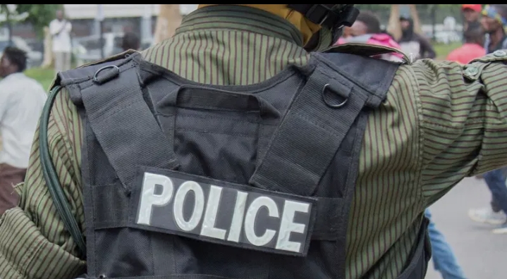 Police Arrest 33 Suspected Criminals in Adamawa, Recover Weapons, Drugs