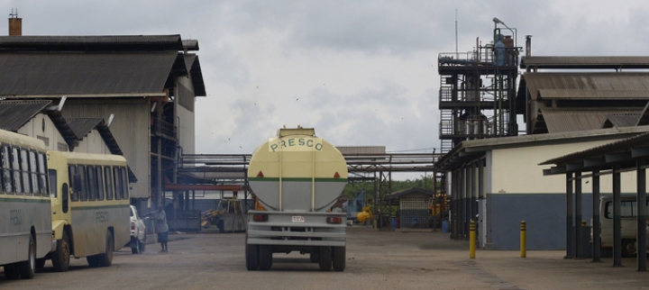 Ogun Attracts Up to $200m Oil Palm Investment as Presco PLC Expands Operations