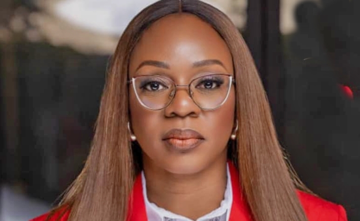 MultiChoice Expands Beyond Entertainment, Deepens Investment in Nigeria’s Creative Economy – CEO