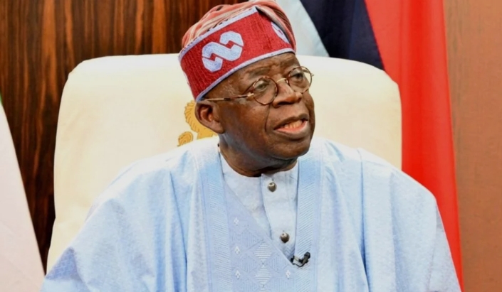 Tinubu Orders Forensic Audit of IPPIS, Government Systems Over Ghost Workers, Fake Agencies