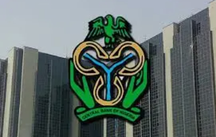 Nigeria’s Remittance Inflows Hit $3.8bn in Seven Months, Up 50.2% — CBN