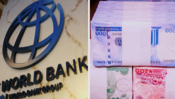 Naira Among Africa’s More Resilient Currencies Despite Exchange Rate Pressure – World Bank