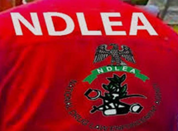 NDLEA Arrests 83-Year-Old Grandma, South African Woman in Nationwide Drug Sweep, Recovers Rifles