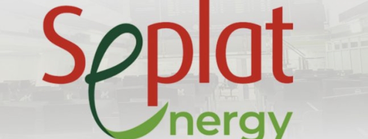 Climate Action: Seplat Energy Plants 200,000 Trees, Targets One Million by 2030