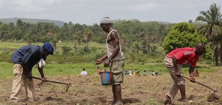 Fuel Price Surge May Force Taraba Farmers to Abandon Irrigation Farming